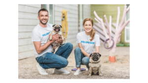 Attracting New Volunteers For Your Animal Welfare Organization – AWOIP