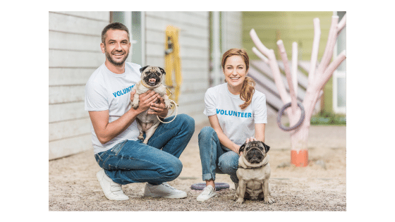 Attracting New Volunteers For Your Animal Welfare Organization – AWOIP